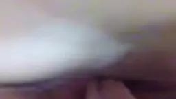 jajuma puc hay