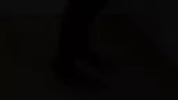 sex