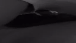 cceluc,taqun nkarumem kyanqs