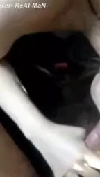 psakvela puzik arach bernatari