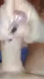 jajuma nkeruhis klirs