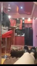 putanka struki periscopum syuzin