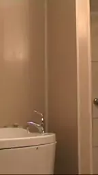 душевой Пердолит армянку