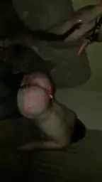 porno arachin haykakan