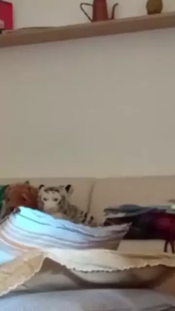 amateur