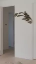cindy letsdoeit bitch vanessa starfall