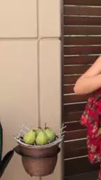 nikol aghjik tmblik
