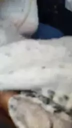 tesanyut inqnatirum hraparakayin porno