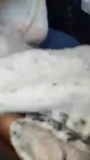 tesanyut inqnatirum hraparakayin porno