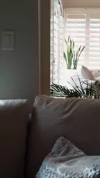 mommy paperboy texts mature barber penny