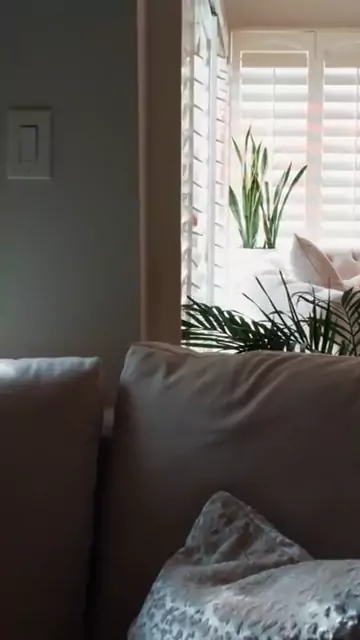 mommy paperboy texts mature barber penny