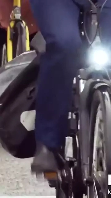 shameless fucking inner