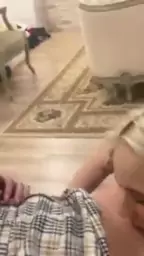 sucking dtfsluts molly bella holly sluts
