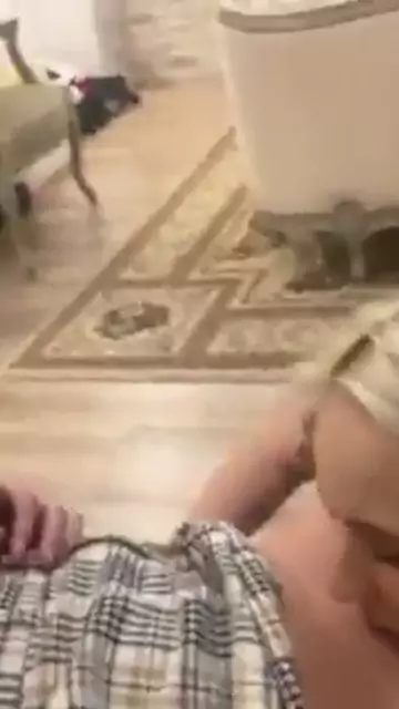 sucking dtfsluts molly bella holly sluts