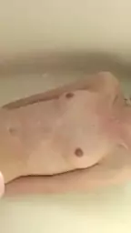 tattooed meows masturbates