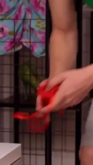 after natalie grace panties stepsons caught sniffing