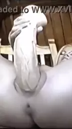 barbie belle dildos
