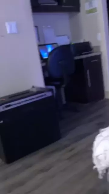 stepdad thought never punished