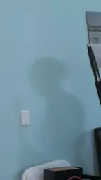 ryder booty