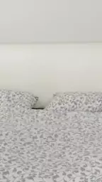 lesbian scissoring boobed