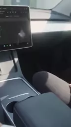 3some fucking sluts lifeselector