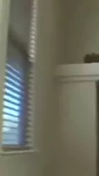 humping boyfriend teasing