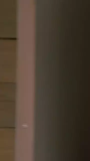 european sluts 3some