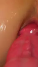 4660129555901648194
