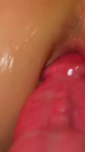 4660129555901648194