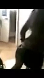 axjikner