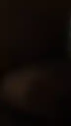 8e49c4df1378