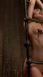 slave fucking asian toyed device