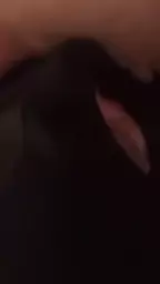 porno haykakan