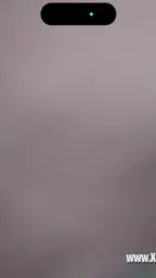 vietnamci