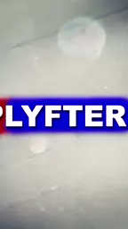 crystal avoid obeyed officer