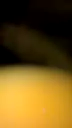 gisherayi akumbum
