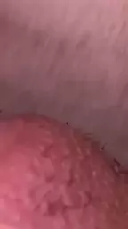 8812236798540862334