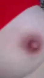 xujan tarekan agarka