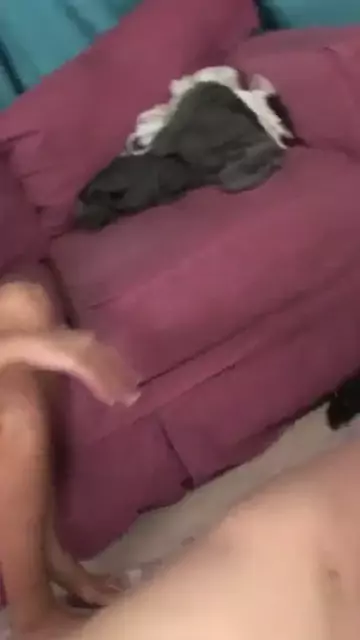jerks lustful prick femdom hardcore kourtney