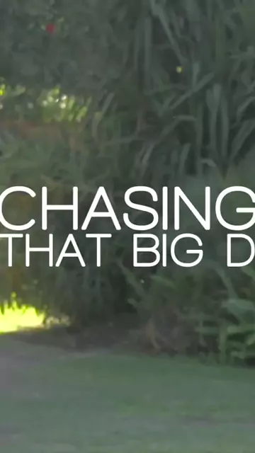 brazzers runners chasing boobs