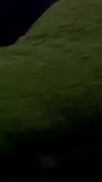 little crazy grinding vibrator cumming shaved against