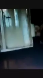 ngeruhu jajoci haykakan