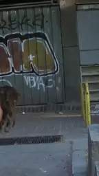 beauty places different public banged