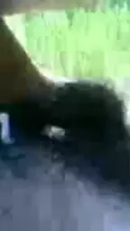 кавказское порно
