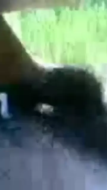 кавказское порно
