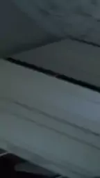 ccuma video puchn
