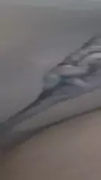 1751398499385438