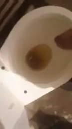 368664513175