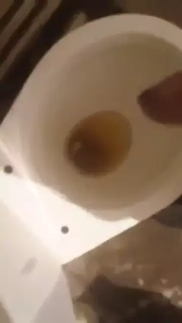 368664513175