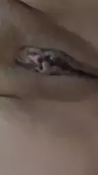 4678126265372653086